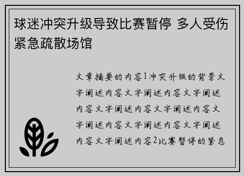 球迷冲突升级导致比赛暂停 多人受伤紧急疏散场馆